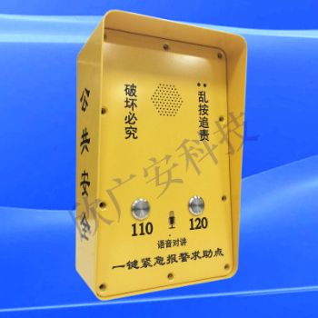 一鍵式網(wǎng)絡(luò)對(duì)講報(bào)警箱（無(wú)視頻）
